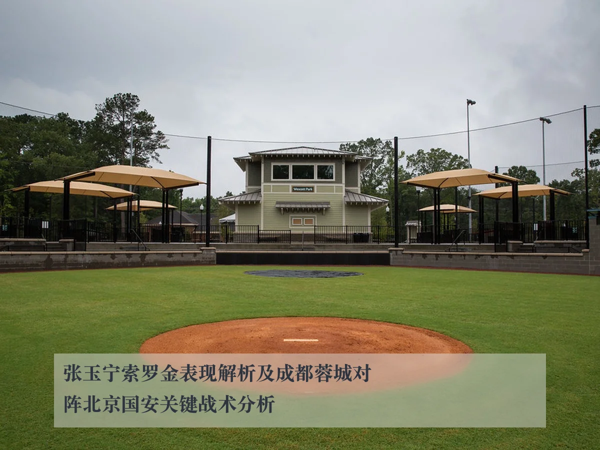 张玉宁索罗金表现解析及成都蓉城对阵北京国安关键战术分析